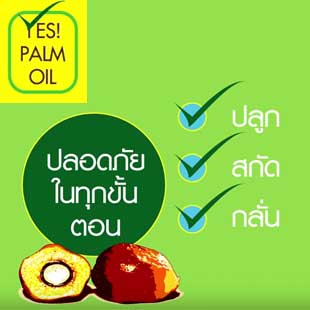 Yes Palm Oil ตอนที่ 2